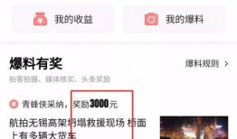 爆料视频可以赚钱吗,一招轻松实现财富增长