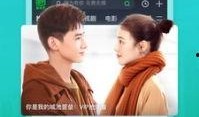 葵花皮肤爆料视频下载安装,新装亮相，魅力无限