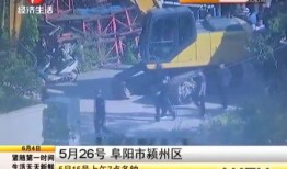 安徽刘渡爆料事件视频,视频揭露惊人真相