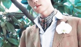 娱乐圈爆料客任嘉伦,娱乐圈爆料客背后的神秘面纱