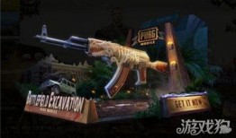 和平精英皮肤最新皮肤爆料,新皮肤爆料，炫酷造型抢先看！