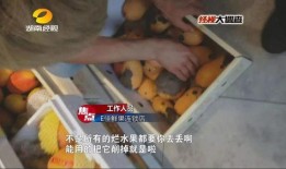 爆料烂水果做果汁视频,如何将烂水果变废为宝，制作美味果汁