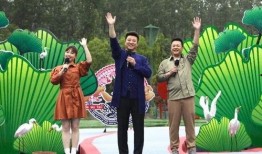 杨晨大神爆料天佑最新视频,天佑最新视频幕后真相曝光