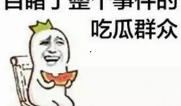 娱乐吃瓜君无语,无语背后的娱乐圈真相揭秘