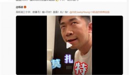 网友爆料史军辉视频播放,揭秘背后故事与影响力
