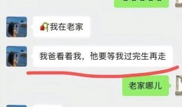 网友爆料谭竹聊天记录视频,揭秘背后惊人内幕