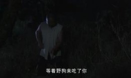 鬼叔爆料某老板视频大全,鬼叔爆料背后的真相与争议