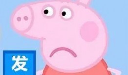 野猪佩奇爆料视频大全