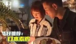 刘德华爆料吃瓜视频播放,揭秘娱乐圈幕后风云