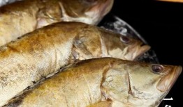 臭鱼烂虾爆料视频大全集,揭秘娱乐圈幕后真相