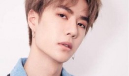 嘴哥爆料刘宪华视频播放,刘宪华视频播放背后的故事