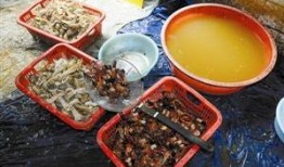 食物最新事件爆料新闻