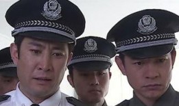 局长 在线观看,在线揭秘权力巅峰