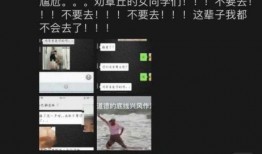 自助老板爆料案例视频,真实案例视频背后的惊人内幕
