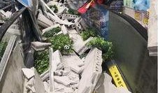 北国超市的最新爆料,揭秘神秘新品，引领购物新潮流