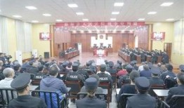 临颍新闻爆料事件最新情况,真相逐步浮出水面