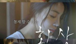 韩国情爱电影在线观看,浪漫邂逅，情感纠葛，在线观影指南