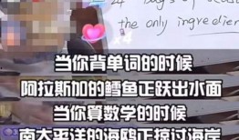 董宇辉爆料徒弟钓鱼视频,揭秘网红背后的生活日常