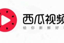 今日关注中山爆料视频最新,视频揭露惊人真相，引发社会热议