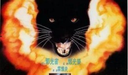 血狼电影在线观看,在线惊悚盛宴，揭秘生死边缘的复仇之旅