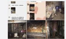 吉林市民爆料最新新闻,最新突发事件引发社会关注