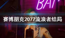 流浪者身世爆料视频大全,视频大全背后的感人故事