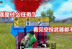 吃鸡爆料侠客视频大全最新,揭秘热门游戏幕后故事与精彩瞬间