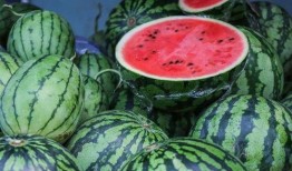 新疆网红吃瓜事件真相,真相与误解的交织