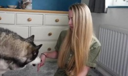 狗狗最新爆料视频大全图片,萌宠瞬间大盘点，笑料十足！