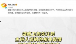 吃瓜娱乐有限公司,揭秘娱乐圈幕后故事，带你领略娱乐产业魅力
