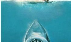 海洋爆料大白鲨视频下载,揭秘大白鲨神秘身影