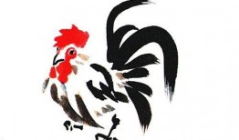 属鸡的女人 在线观看,在线观看独特风采