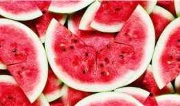 吃瓜网站推荐免费,免费畅享娱乐资讯，轻松成为娱乐圈达人