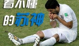 世界杯球员爆料新闻视频,独家爆料背后的真相与内幕