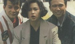 港剧义不容情在线观看,情感纠葛与正义斗争的巅峰对决