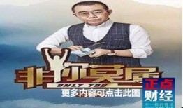 在线观看非你莫属,职场精英的舞台对决与智慧碰撞