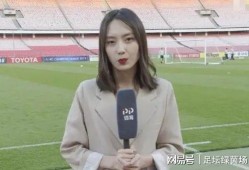 国安女记者爆料视频大全,揭秘事件背后真相