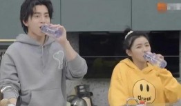 王大陆前女友爆料视频,揭秘两人分手背后真相