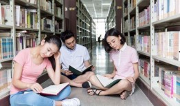 中学女生在线观看,中学女生在线观影现象解析