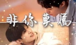 在线观看非你莫属,职场精英的舞台对决与智慧碰撞