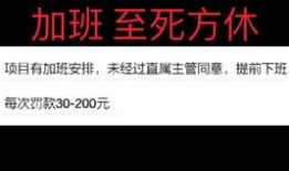 东北人在洛杉矶爆料视频,异乡生活点滴与家乡情怀