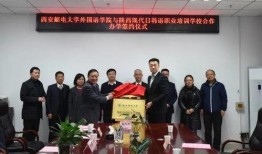 西安教育爆料最新消息,揭秘校园热点事件背后的真相