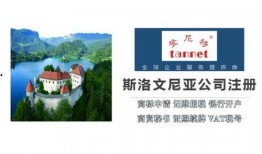 深圳网红小松爆料视频,视频背后的真实故事