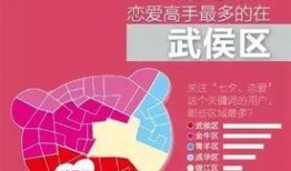 成都爆料新闻头条,揭秘城市热点事件背后的真相