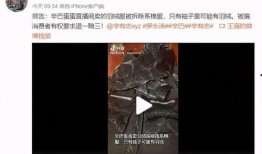 海波直播间爆料视频,揭秘幕后精彩瞬间
