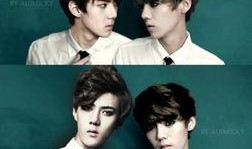 勋鹿纹身爆料视频大全集,视频大全集深度解析