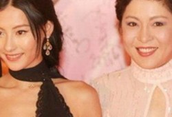 向太向华强娱乐大爆料,向太向华强夫妇大爆料，内幕惊人！
