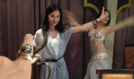 与蛇共舞在线观看,揭秘神秘蛇类世界的奇幻之旅