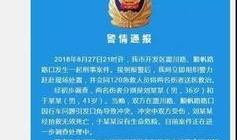 迪拜爆料网赌案件最新情况,警方破获大案，涉案金额惊人