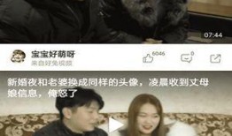 小虎爆料新教练视频下载,新教练视频下载，揭秘神秘训练方法